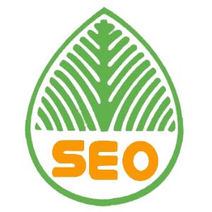 邹城提升网站移动适配的注意事项